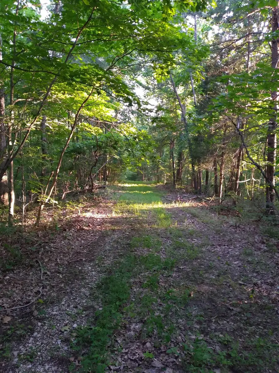 1637 High Rock Road, Stanton, KY 40380 - Image #3