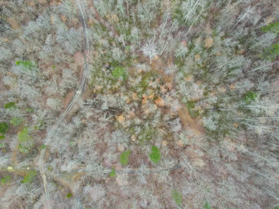 1737B High Rock Road, Stanton, KY 40380 - Image #2