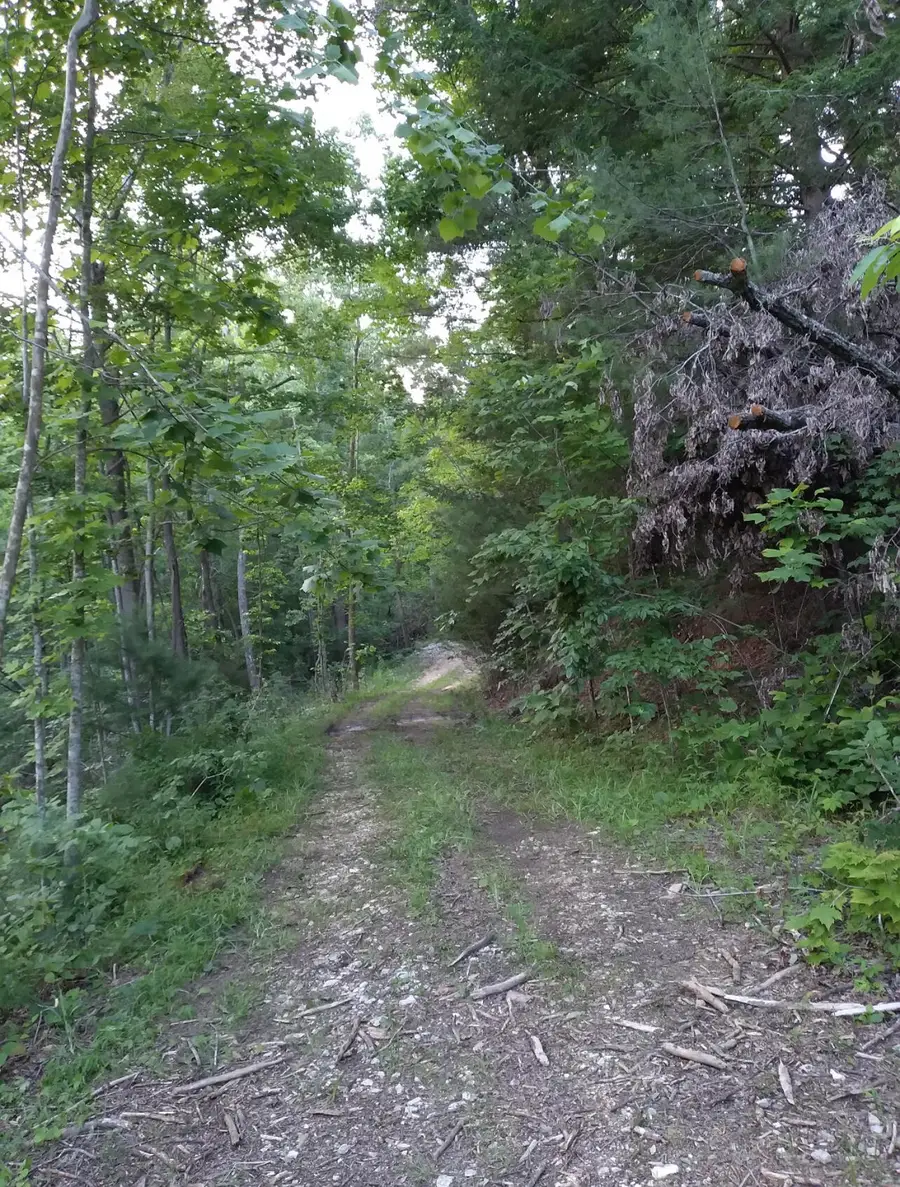 1737C High Rock Road, Stanton, KY 40380 - Image #3