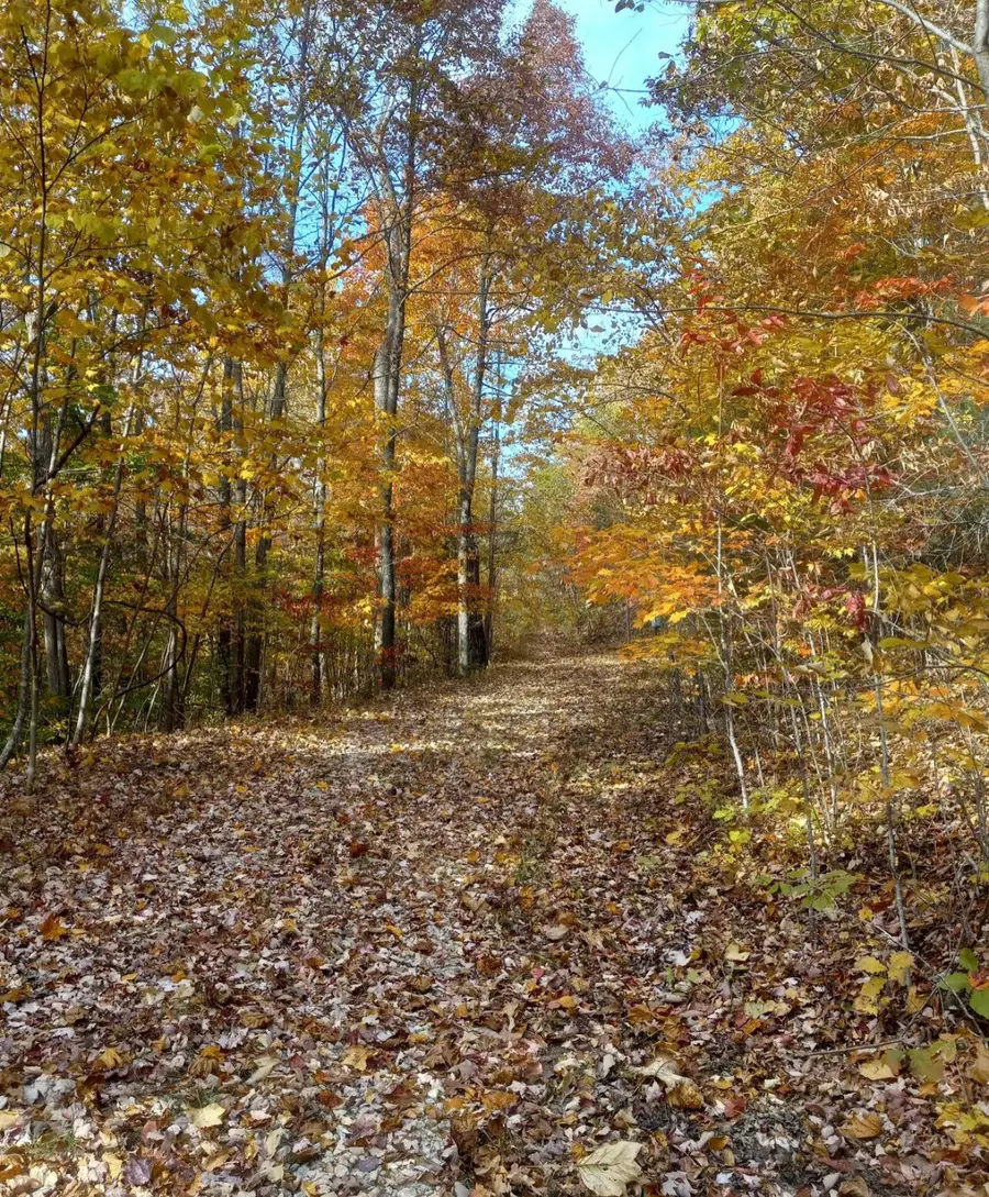 1237K High Rock Road, Stanton, KY 40380 - Image #2