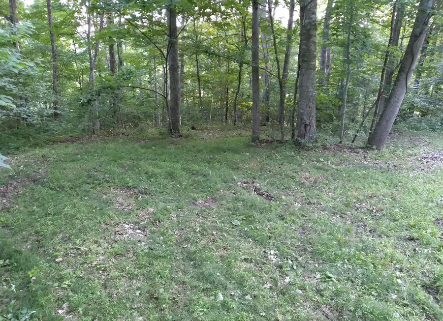 1237G High Rock Road, Stanton, KY 40380 - Image #3