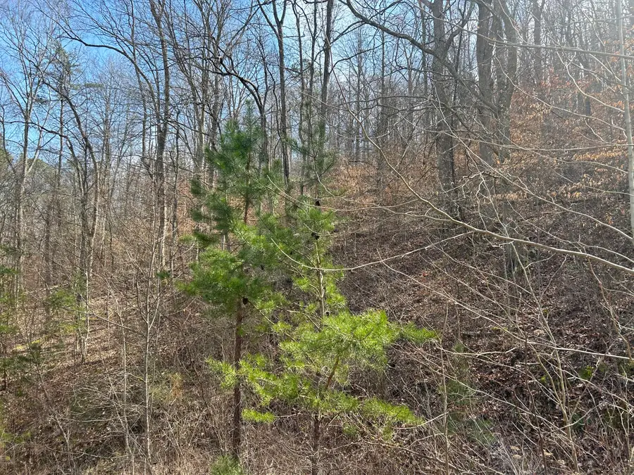 0 Left Fork Cains Creek Road, Blaine, KY 41124 - Image #2