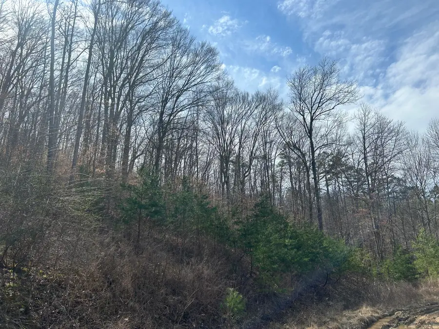 0 Left Fork Cains Creek Road, Blaine, KY 41124 - Image #3