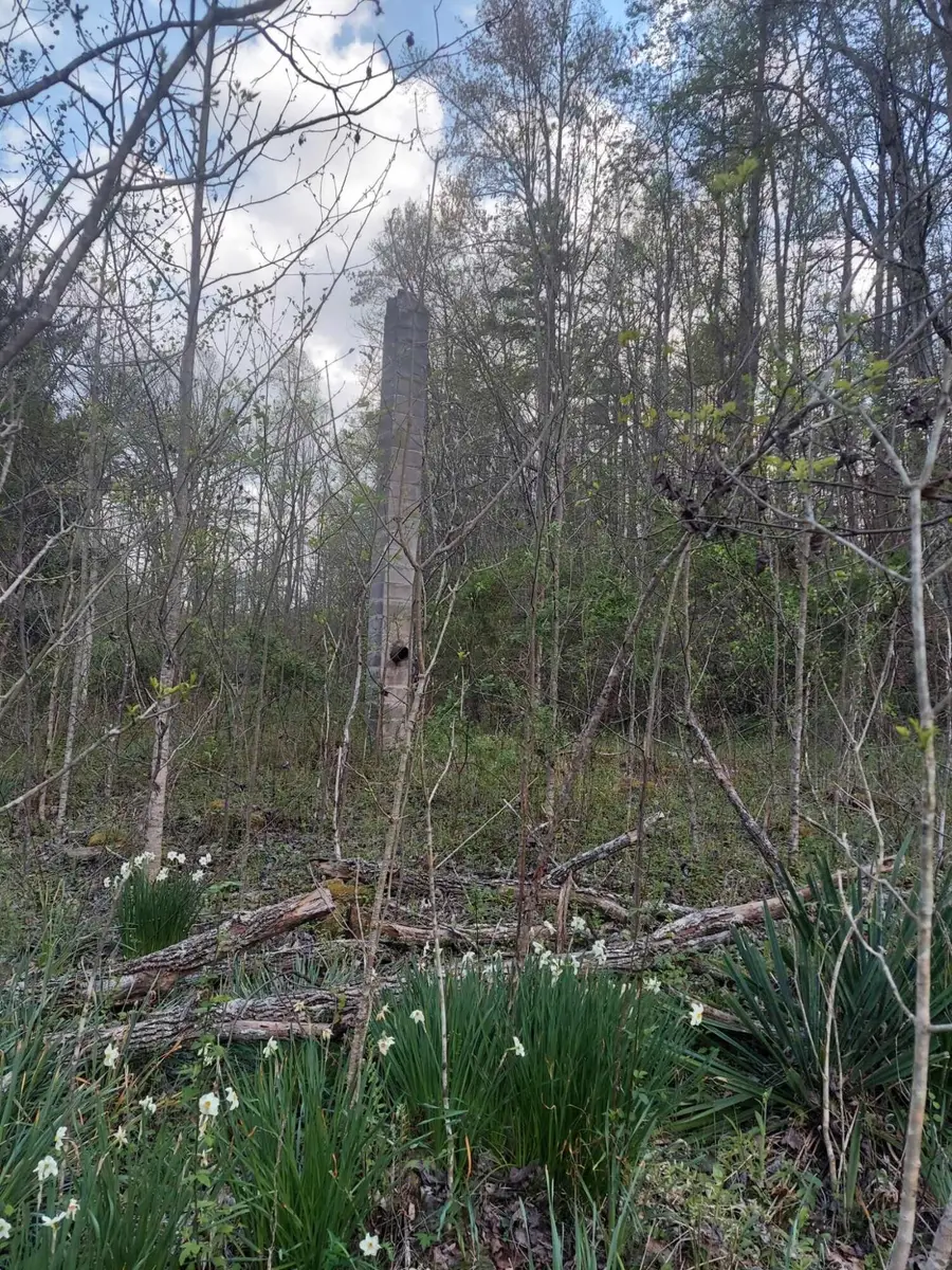 0 Herd Road, McKee, KY 40447 - Image #2