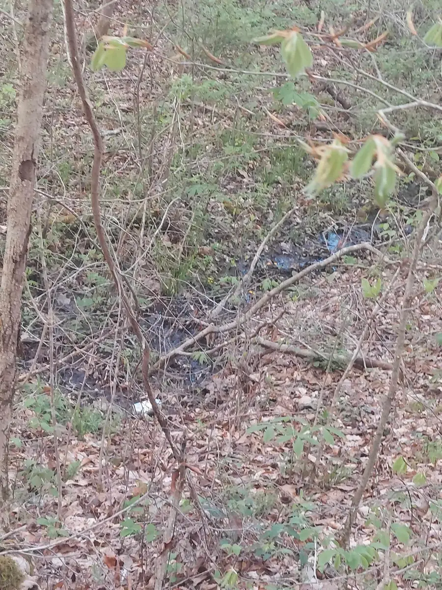 0 Herd Road, McKee, KY 40447 - Image #3