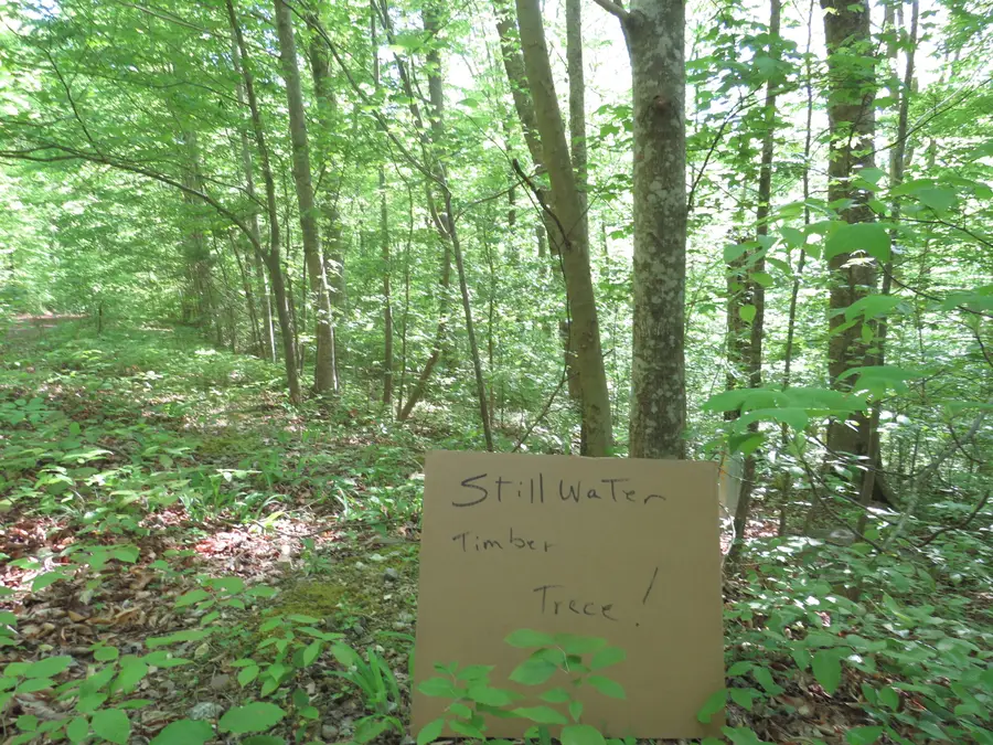 9999 Lots 225,227,228231 Stillwater, Russell Springs, KY 42642 - Image #2