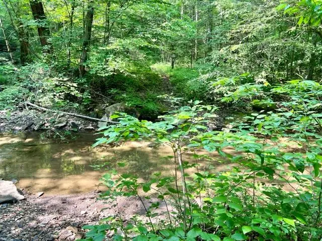 0 Coperas Cave Branch, Beattyville, KY 41311 - Image #2