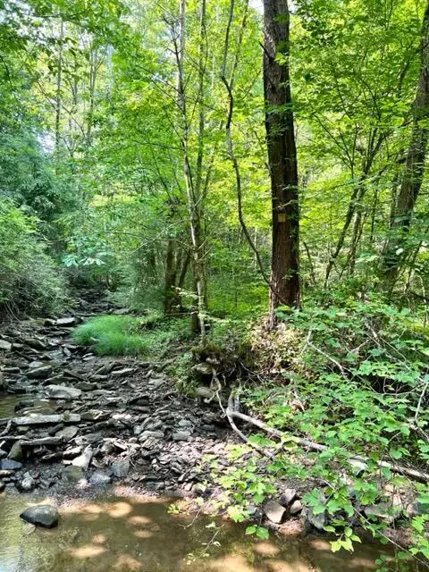 0 Coperas Cave Branch, Beattyville, KY 41311 - Image #3