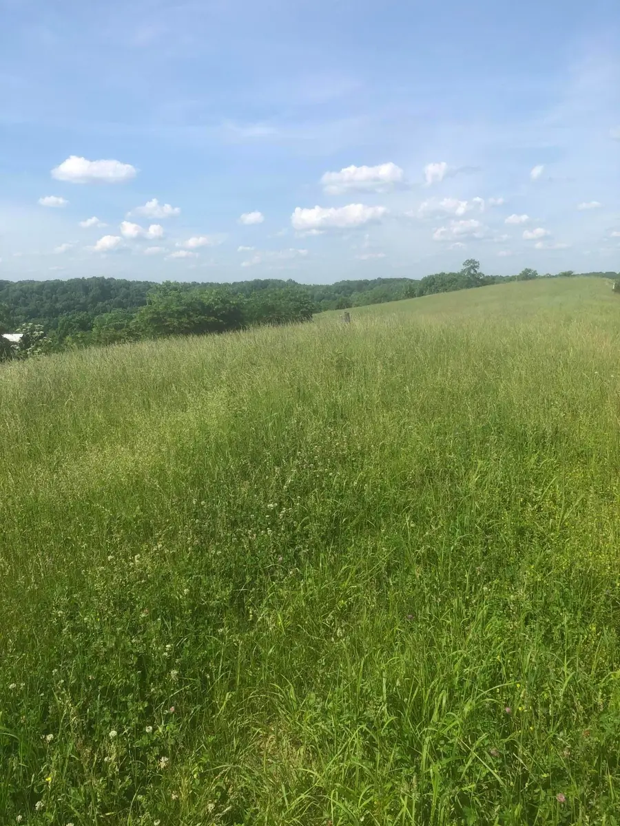 6 S Chowning Lane, Bloomfield, KY 40008 - Image #2