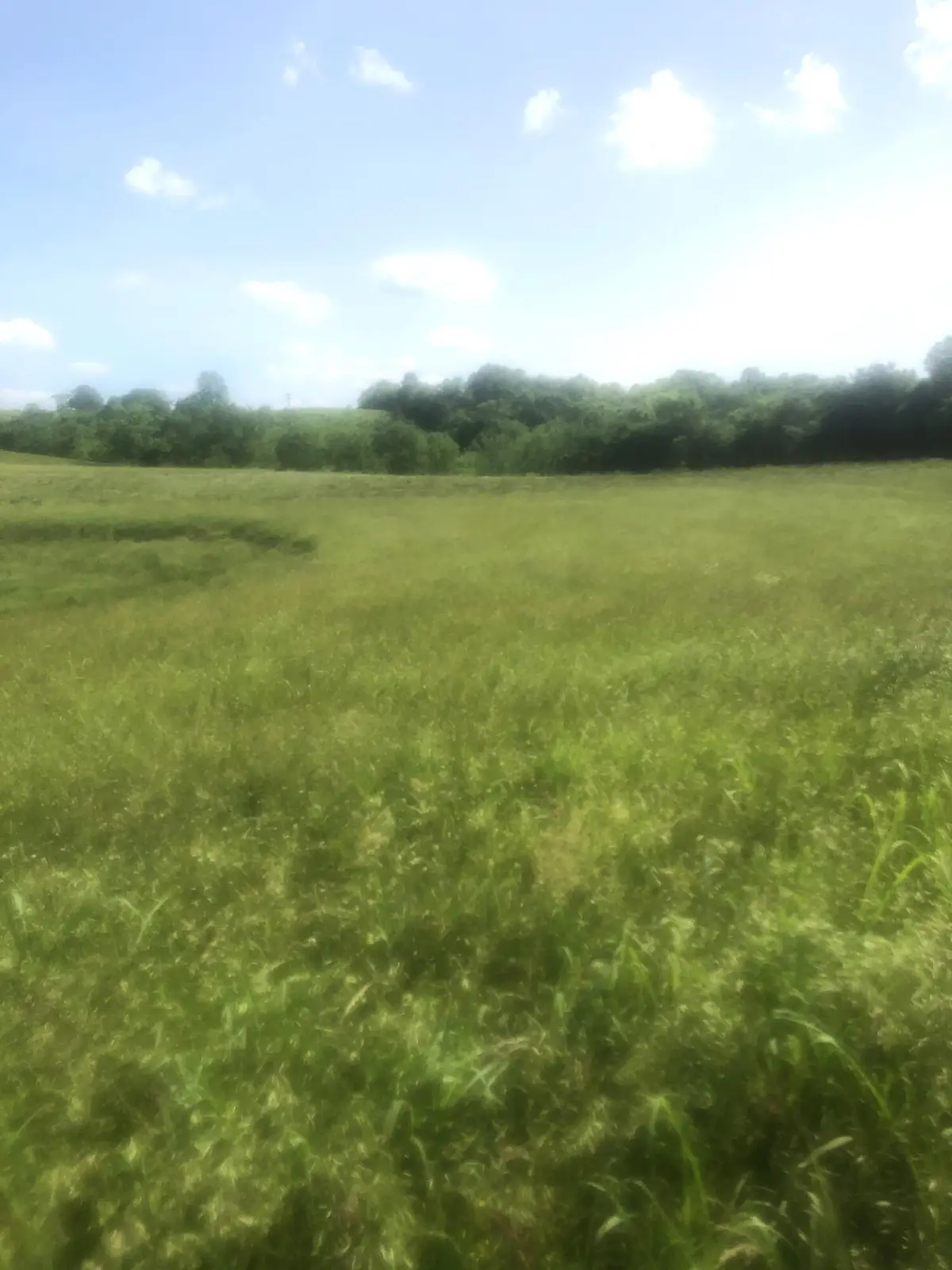 7 S Chowning Lane, Bloomfield, KY 40008 - Image #1