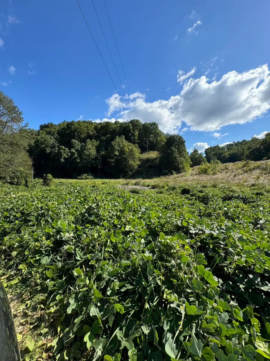 00 Hwy 80, Hazard, KY 41701 - Image #2