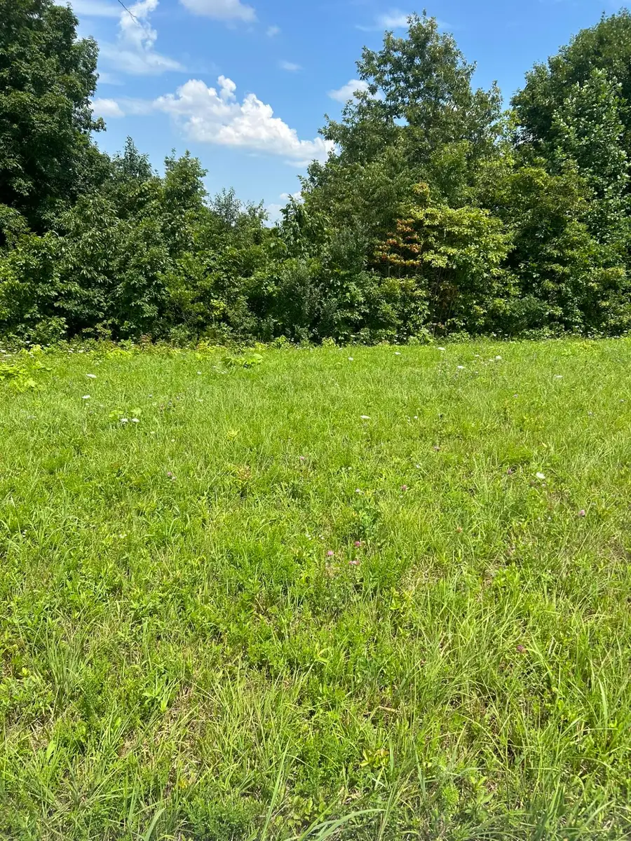 Lot Serenity, Nancy, KY 42544 - Image #2