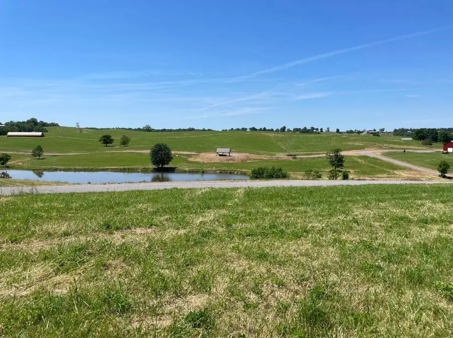 163 Eagle Ridge Lane, Cynthiana, KY 41031 - Image #3