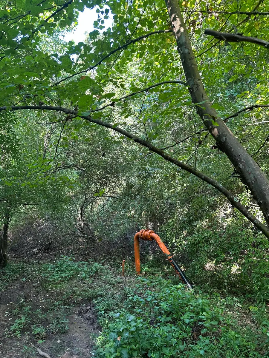 9999 Glade Branch, Manchester, KY 40962 - Image #2