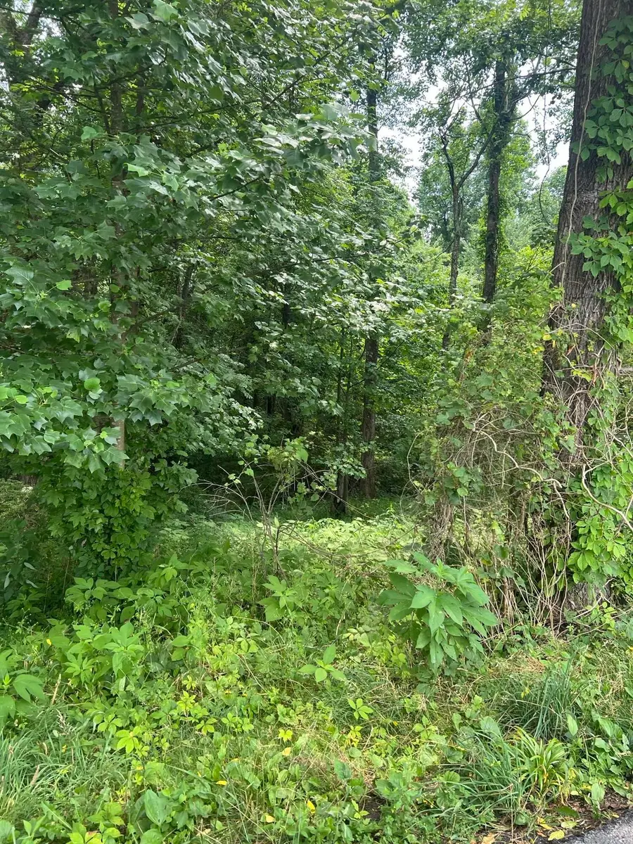 111 Terrell Road, Corbin, KY 40701 - Image #2