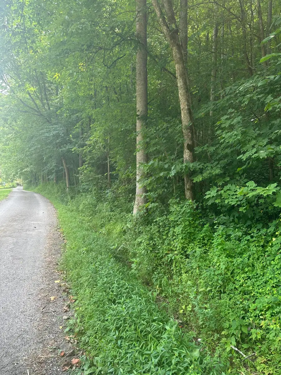 9999 May Fork Road, Manchester, KY 40962 - Image #2