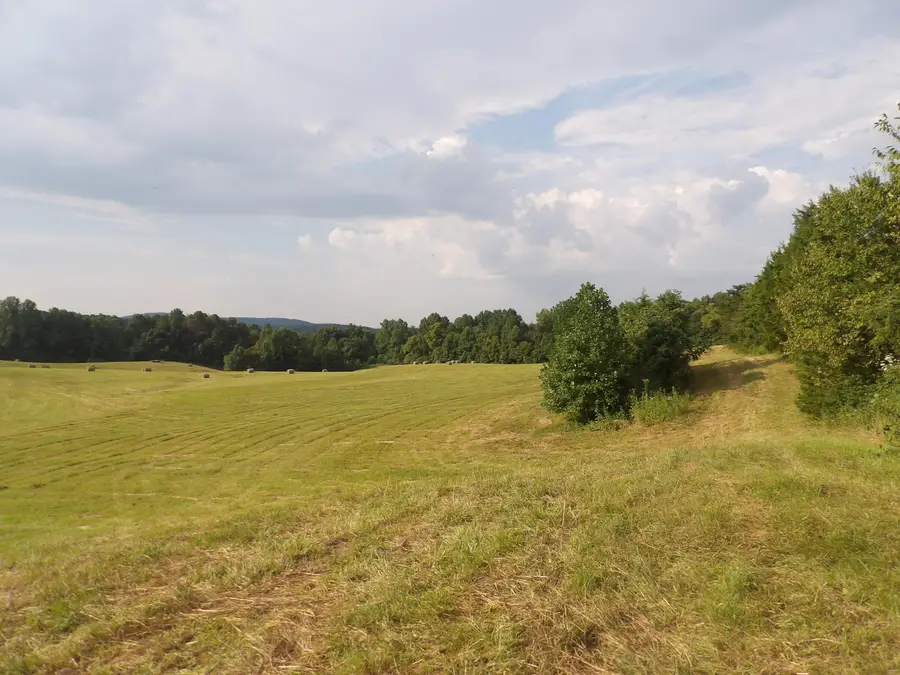 371 Dug Road Road, Monticello, KY 42633 - Image #3