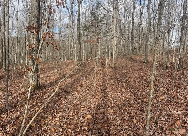 Lot 41 Paradise Acres, Somerset, KY 42501 - Image #2