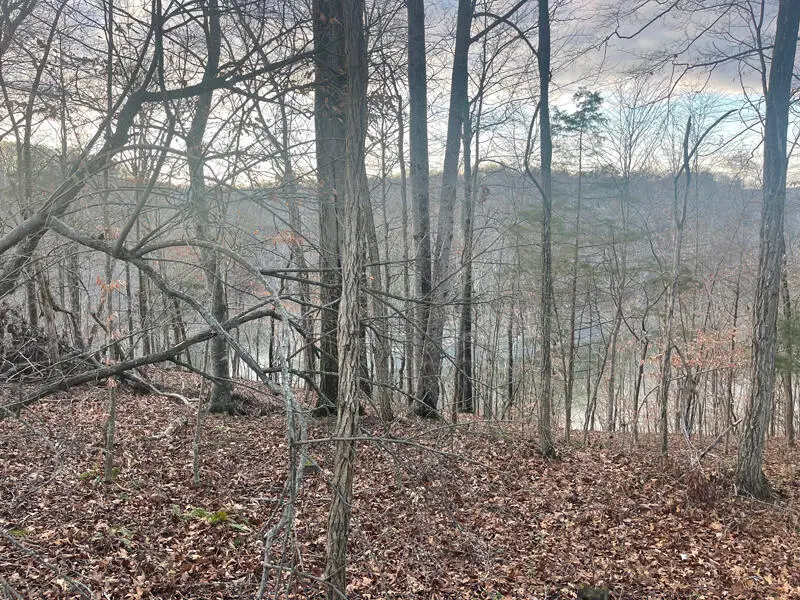Lot 82 Pleasant View, Nancy, KY 42544 - Image #2