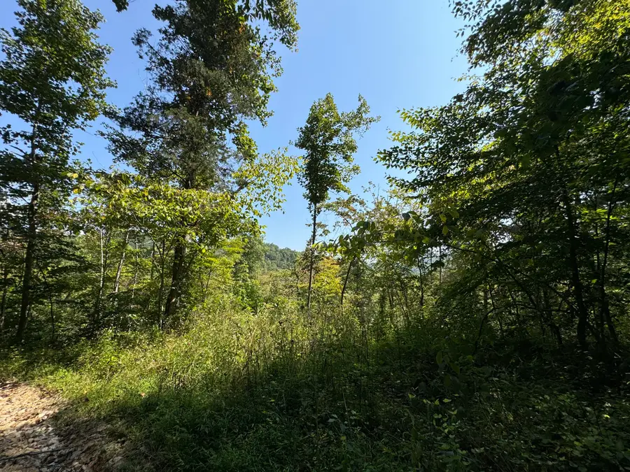 999-1 Big Cave Road, Orlando, KY 40460 - Image #3