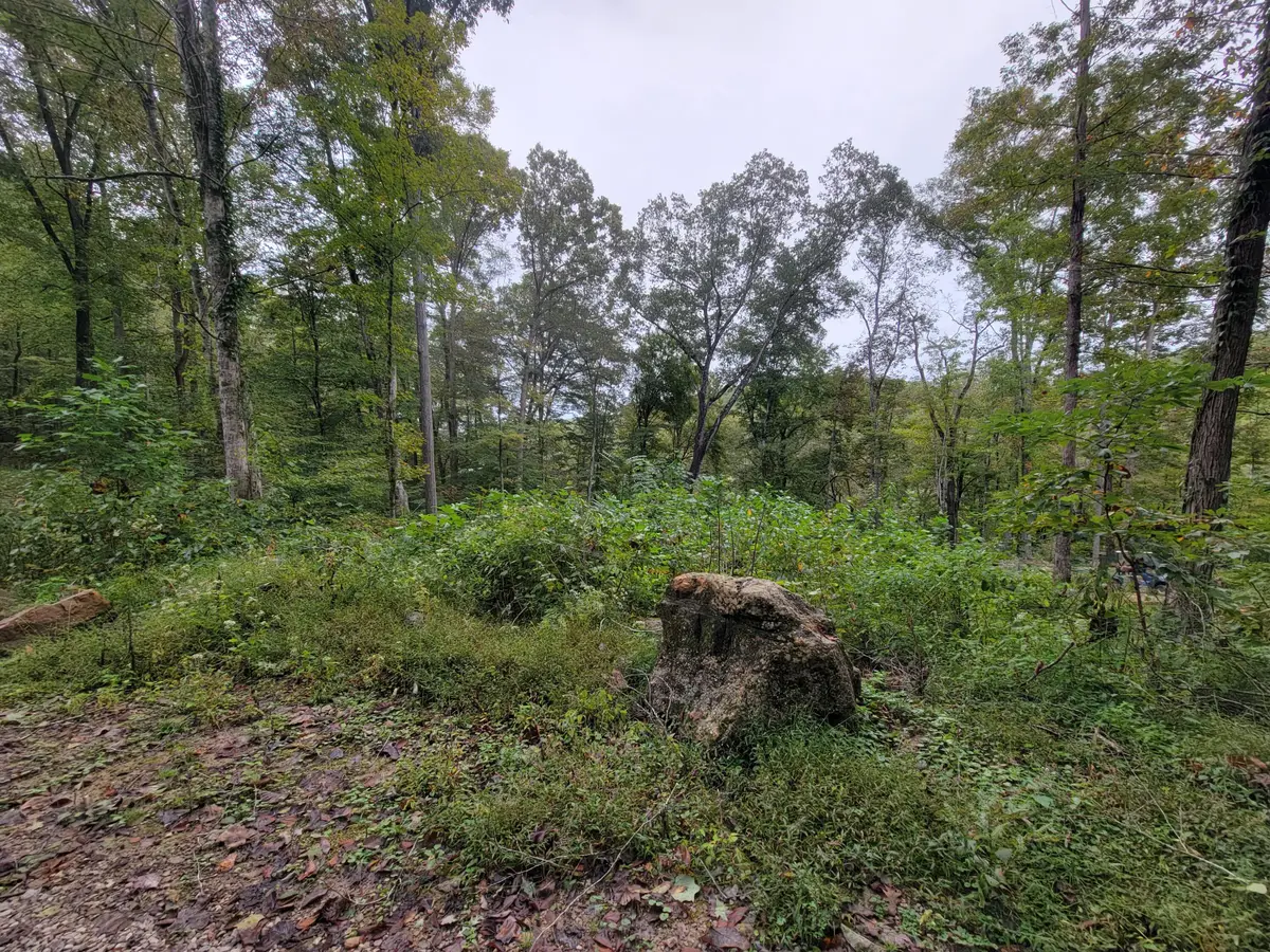 150 Punchs End, Burnside, KY 42519 - Image #1