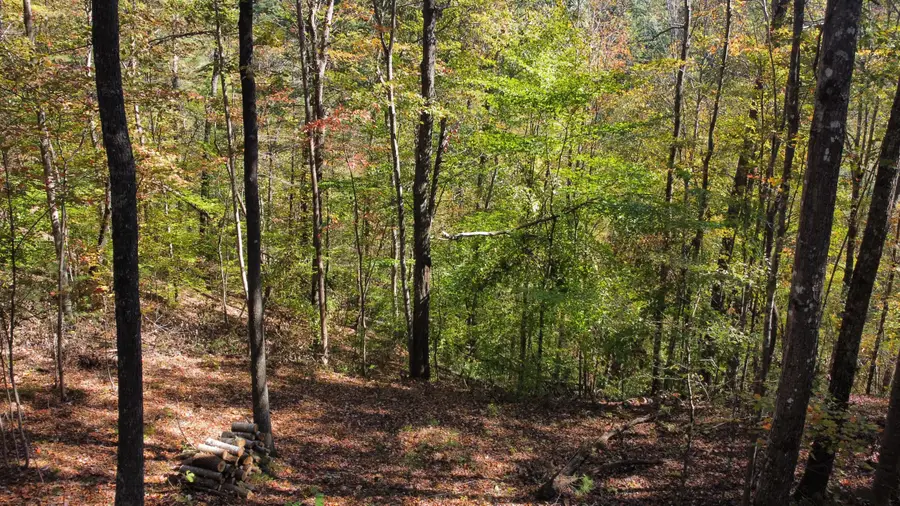 Lot #51 The Reserve At Cliffview, Zoe, KY 41397 - Image #2