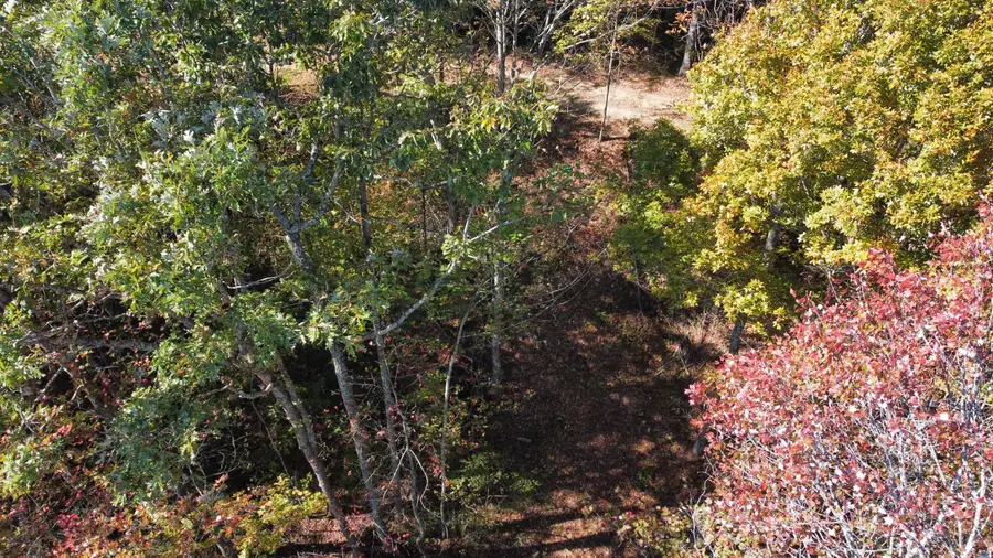 Lot #51 The Reserve At Cliffview, Zoe, KY 41397 - Image #3