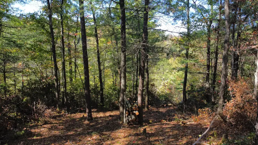 Lot #47 The Reserve At Cliffview, Zoe, KY 41397 - #2