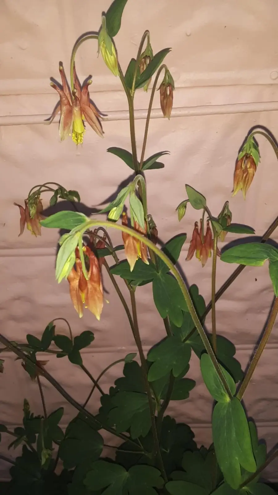 215 Main Street, North Middletown, KY 40357 - Image #3