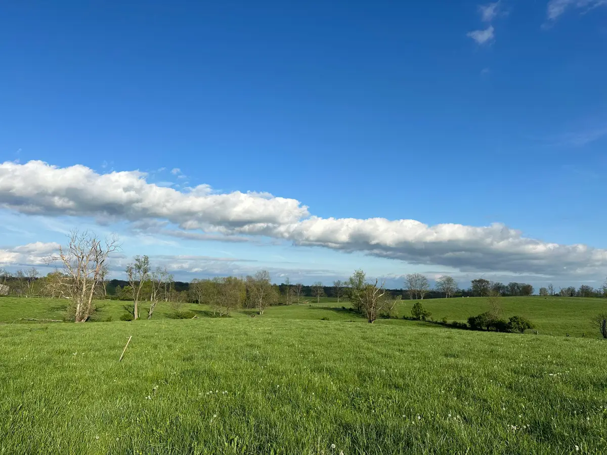 3451 Cynthiana Road, Georgetown, KY 40324 - Image #1