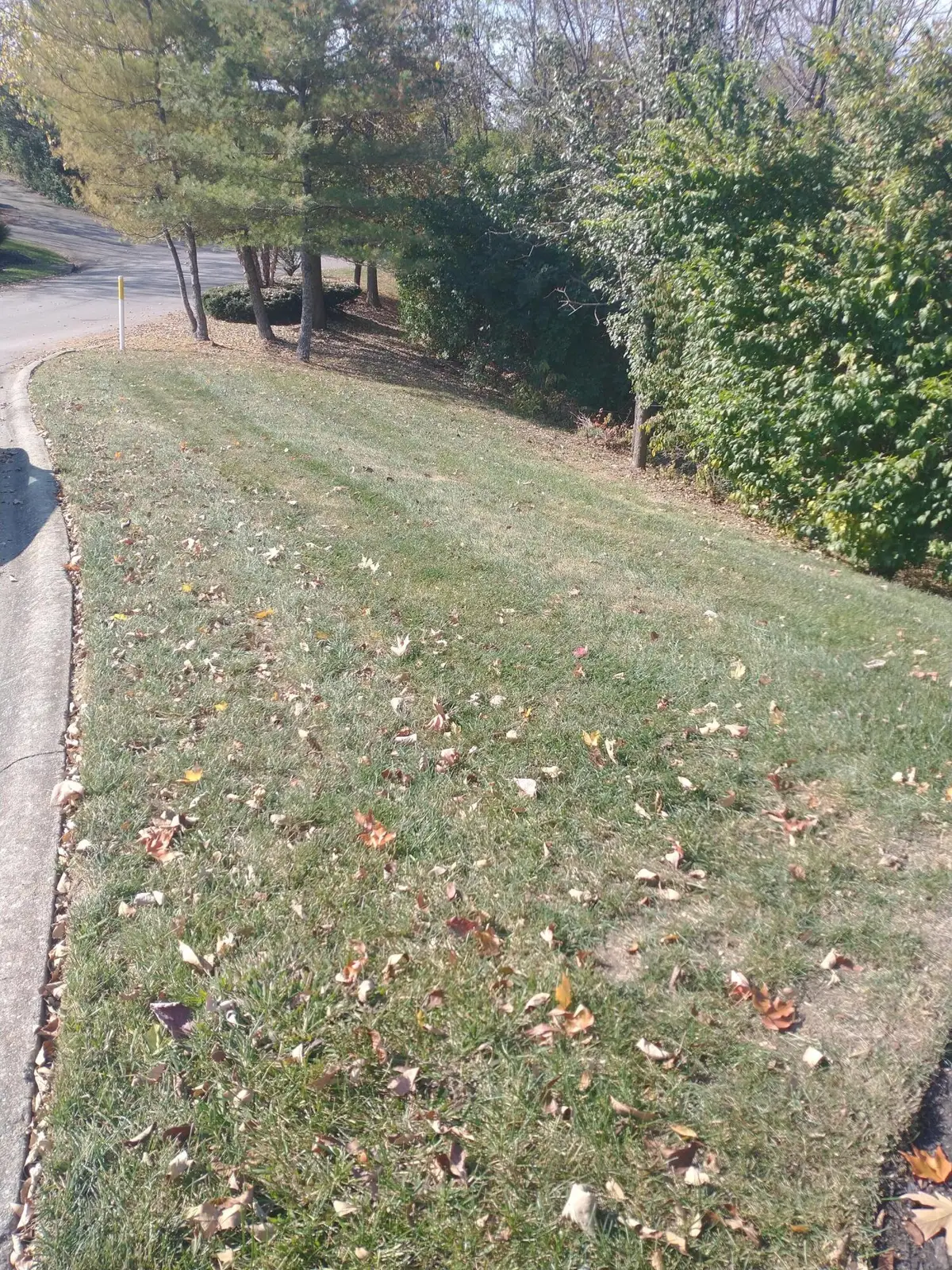 102 Augusta Drive, Winchester, KY 40391 - Image #1