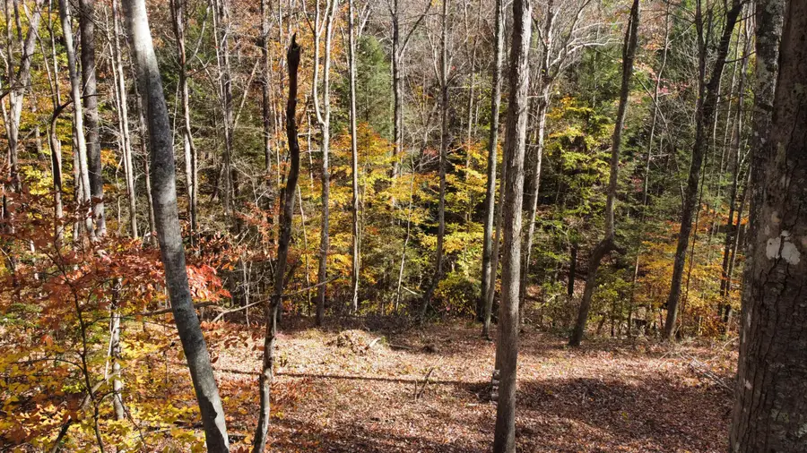 Lot #54 The Reserve At Cliffview, Zoe, KY 41397 - Image #2