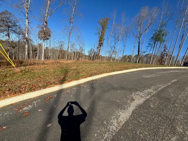 246 Woods Creek Lake Drive Drive, Somerset, KY 42503 - #3