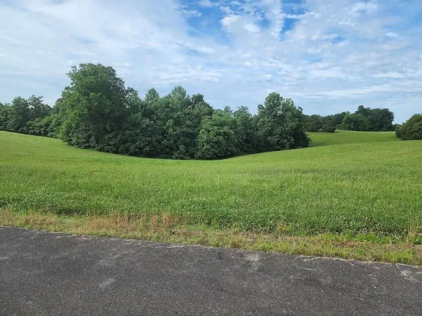 Lot 19 Acadia Drive, Russell Springs, KY 42642 - Image #2