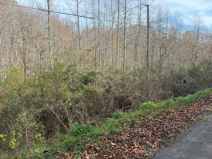 0 Maple Creek Road, Williamsburg, KY 40769 - Image #2