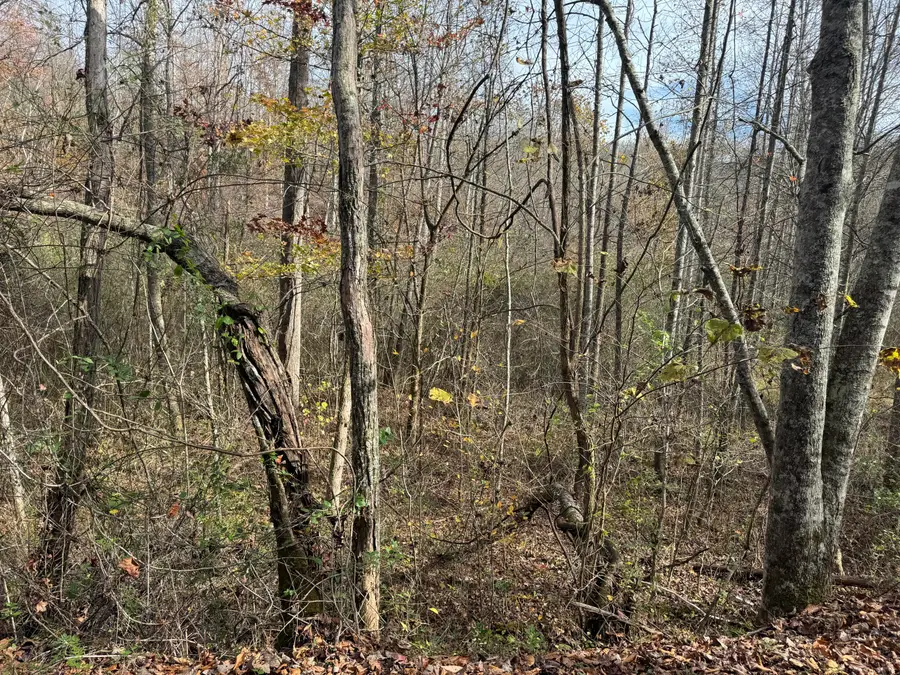 0 Maple Creek Road, Williamsburg, KY 40769 - Image #3