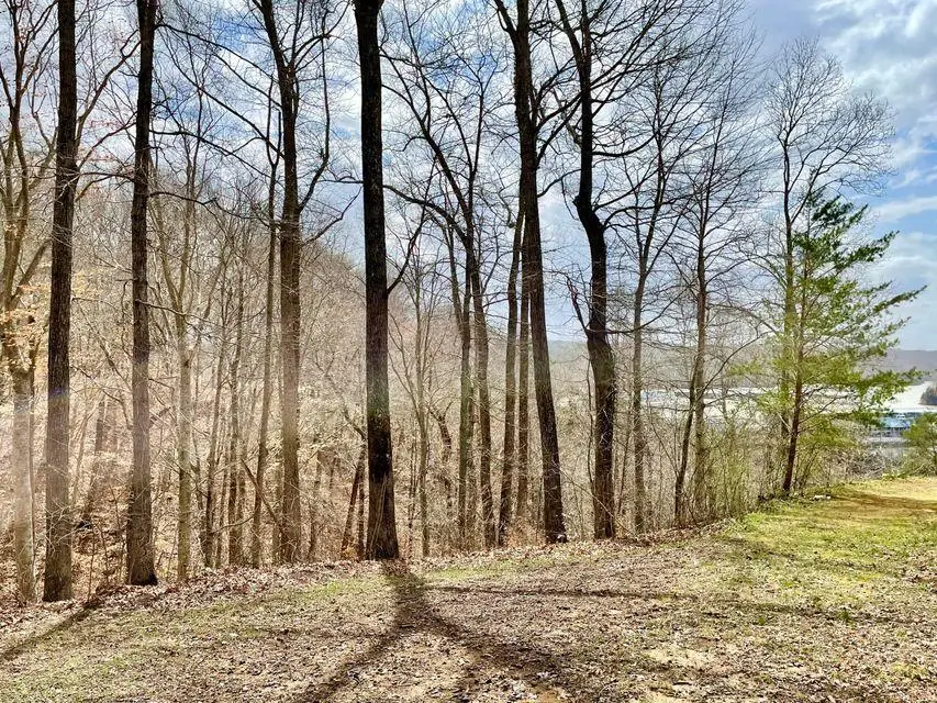 3 Marina Pointe Court, Jamestown, KY 42629 - Image #3