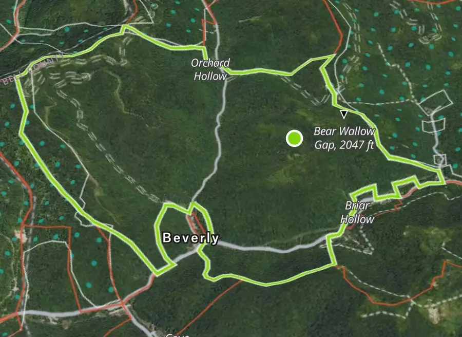 Tract 1 Cow Fork Road, Beverly, KY 40913 - Image #3