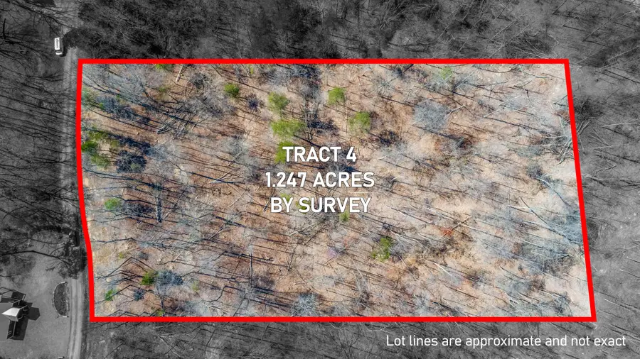 4 Campbell Road, Nancy, KY 42544 - Image #3