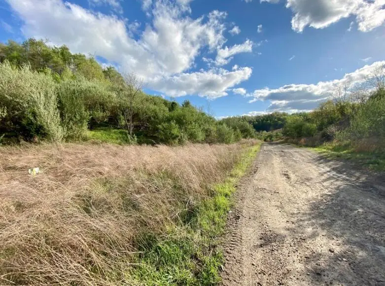 0 Freeman Fork Road, Gays Creek, KY 41745 - #3