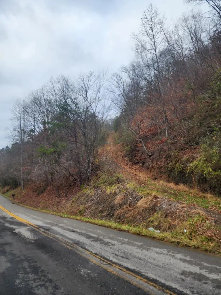 00 Caney Creek, Prestonsburg, KY 41653 - Image #1