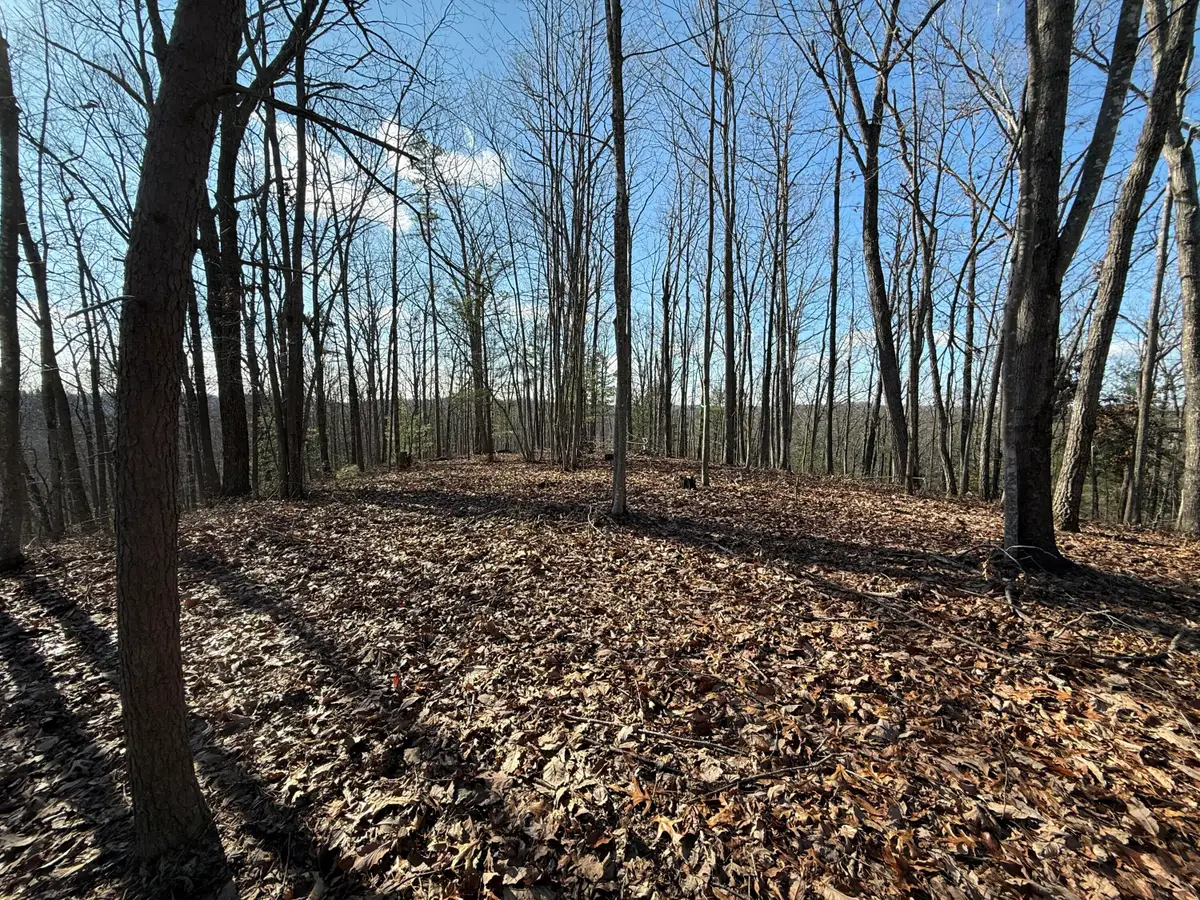 191 The Reserve At Cliffview, Zoe, KY 41397 - #1