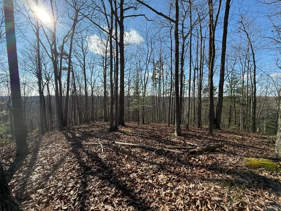 191 The Reserve At Cliffview, Zoe, KY 41397 - #2