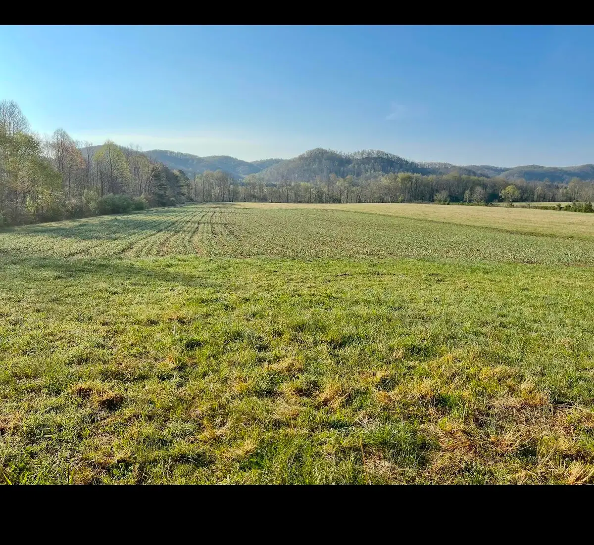 1150 Cranston Road, Morehead, KY 40351 - #1