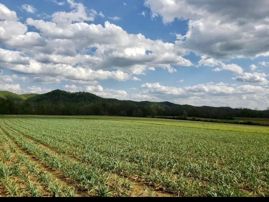 1150 Cranston Road, Morehead, KY 40351 - #2