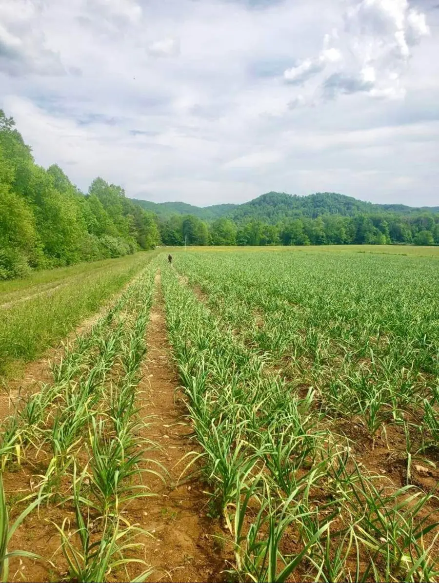 1150 Cranston Road, Morehead, KY 40351 - #3