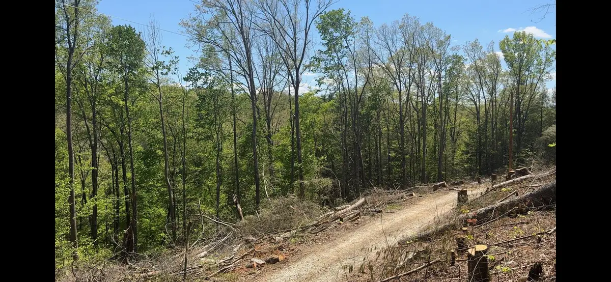 Lot 67 High Falls Road, Campton, KY 41301 - Image #1