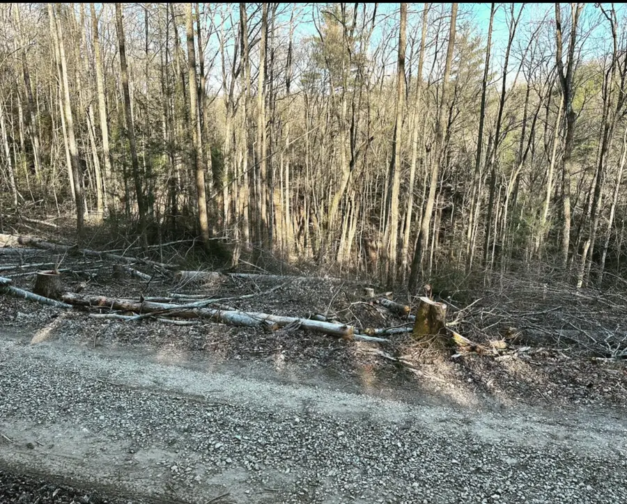 Lot 67 High Falls Road, Campton, KY 41301 - Image #2