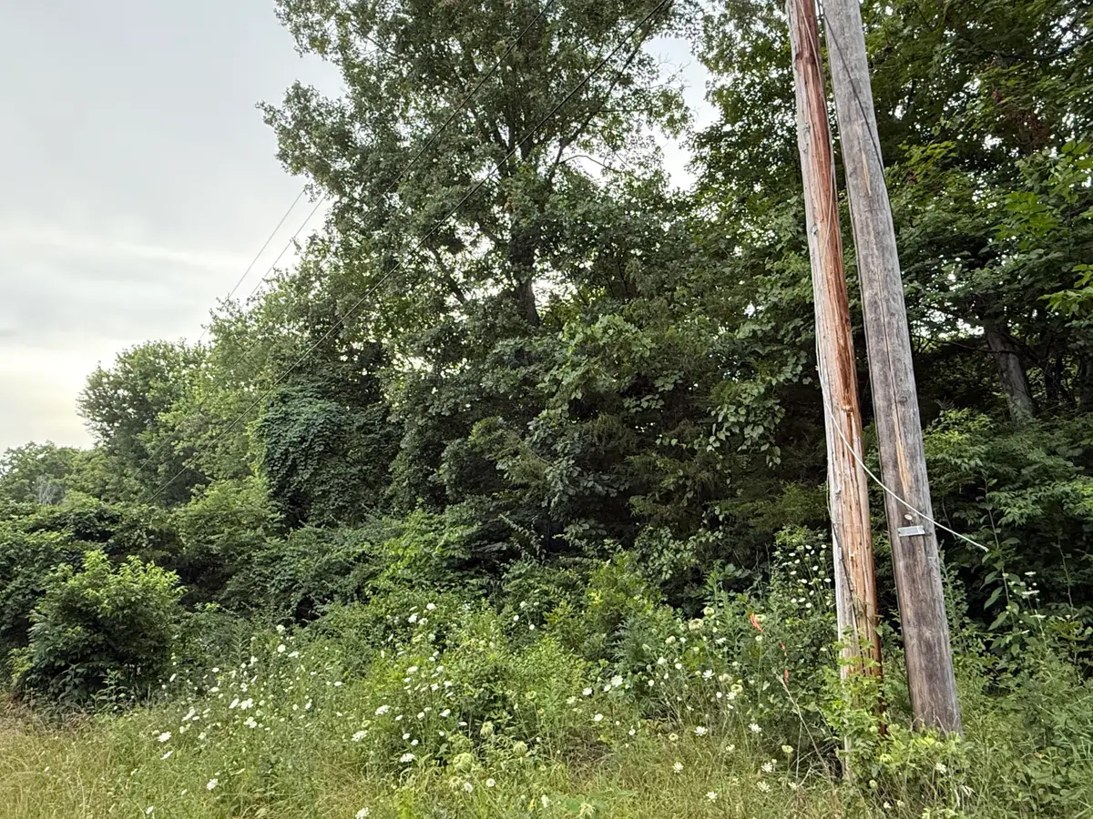 Lot#24 Samara Drive, Somerset, KY 42503 - Image #1