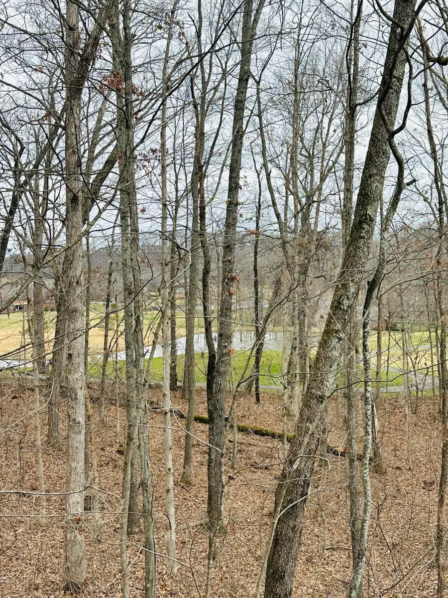 126 Beechwood Drive, London, KY 40744 - Image #2